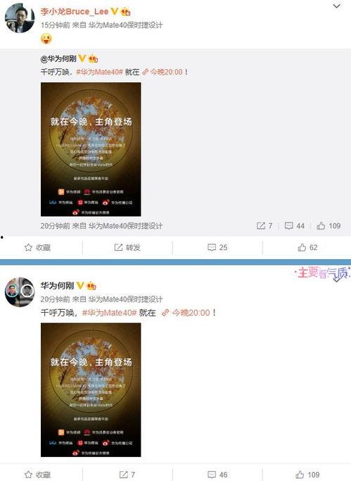 每日爆料视频网站大全,揭秘全网热门爆料视频网站大盘点  第3张