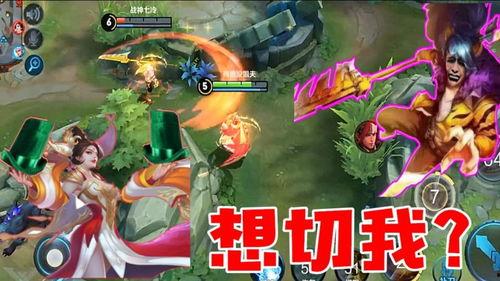 姐夫爆料王者荣耀视频,姐夫爆料视频揭秘游戏幕后故事  第1张