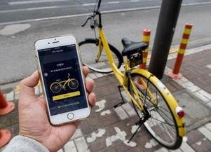 ofo最新爆料,揭秘共享单车巨头背后的真相与困境”  第3张